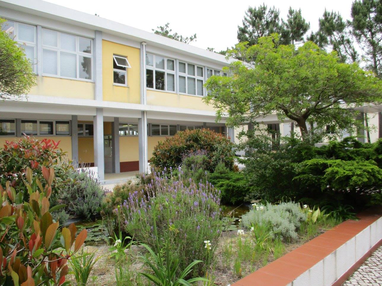Motivating Students: a ClassPoint School Case Study with Escola Profissional de Penafirme in Torres Vedras, Portugal