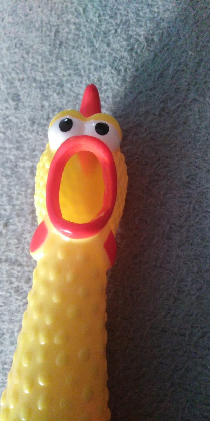 Funny Family Feud Question: Name a bizarre use for a rubber chicken.