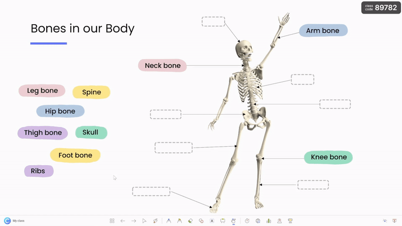 Diagram presenting using ClassPoint's Draggable Objects