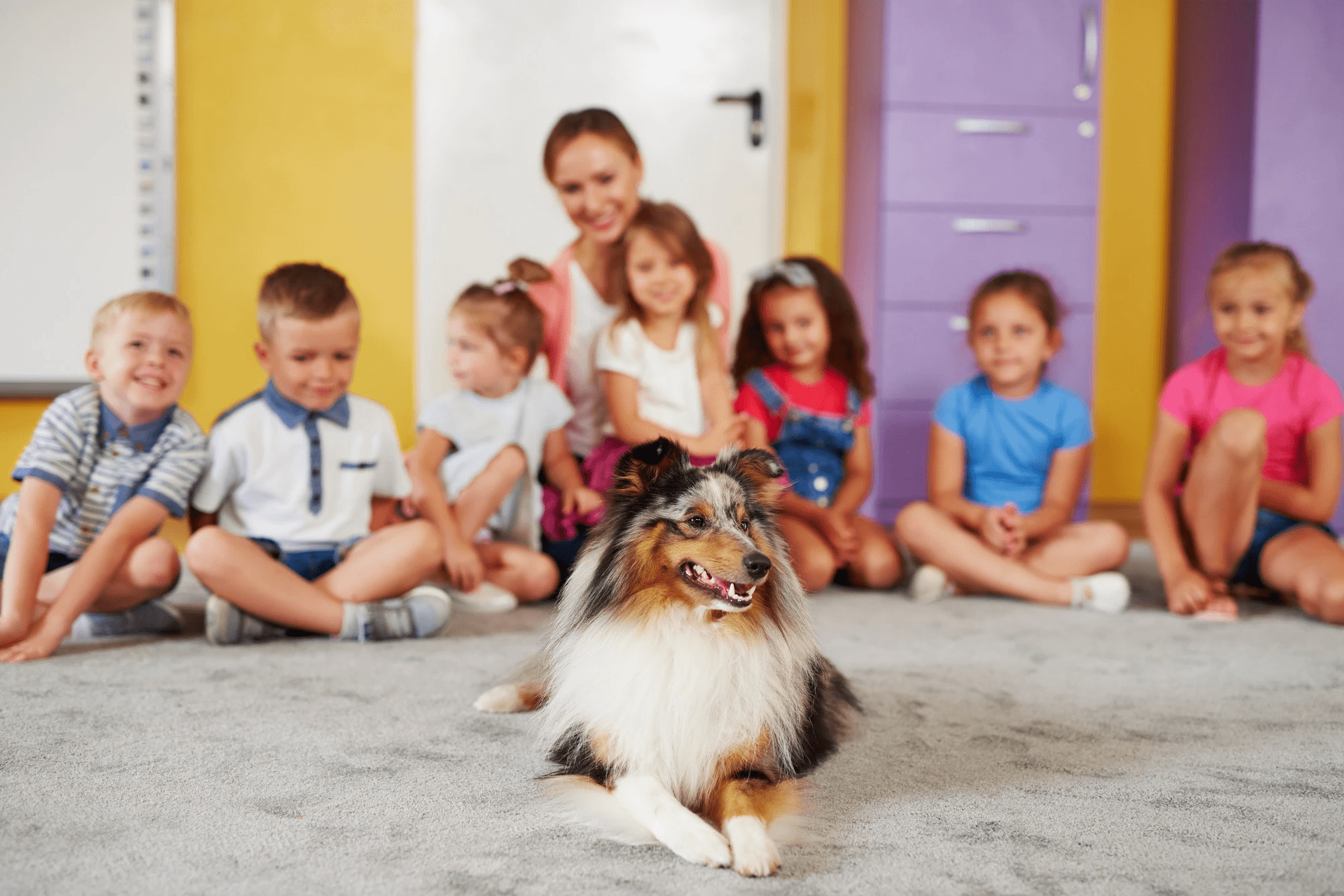 Estrategia para mascotas de clase