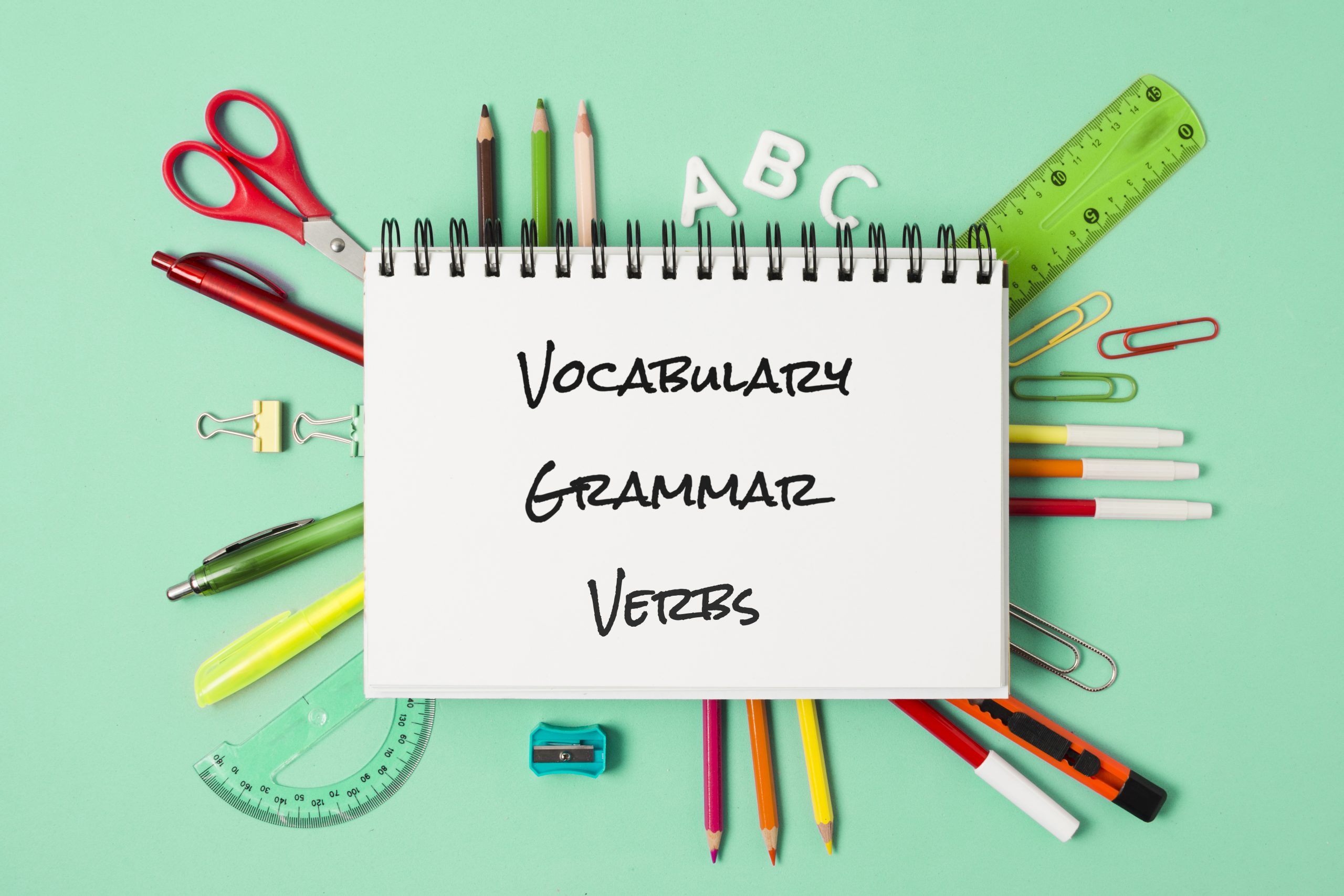 vocabulary true or false questions for kids